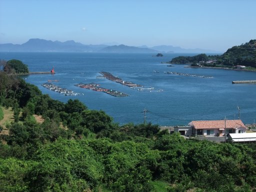 ファイル 518-2.jpg