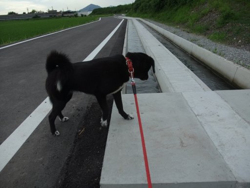 石橋を叩いて渡る