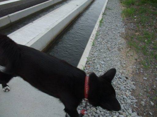 ファイル 519-2.jpg