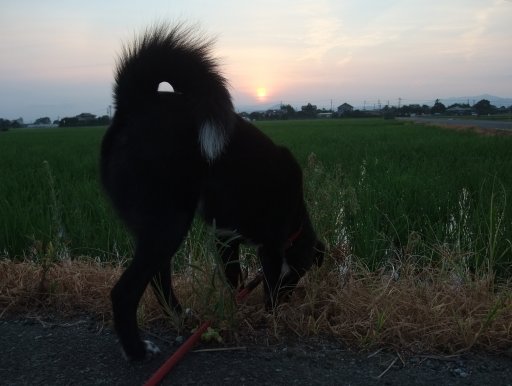 ファイル 532-2.jpg