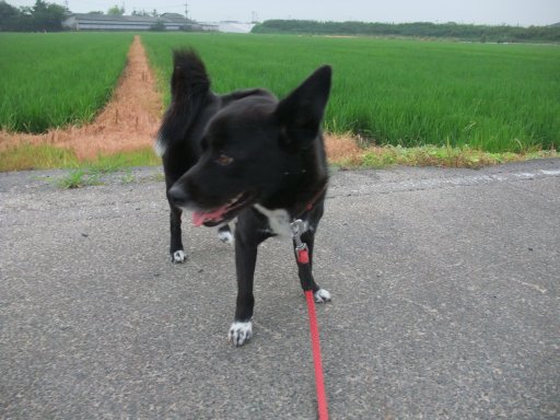 イヴ姫　５：５３