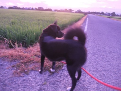 ファイル 536-2.jpg