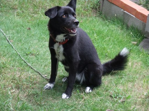 ファイル 538-2.jpg