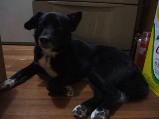 ファイル 538-3.jpg