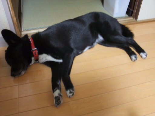 ファイル 544-2.jpg