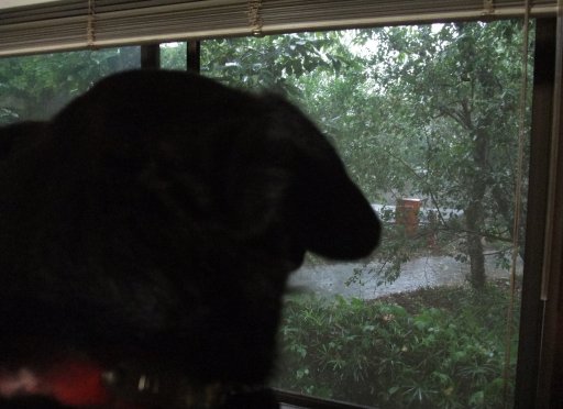 ファイル 546-2.jpg