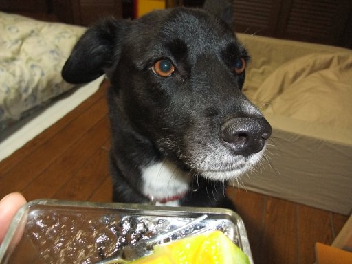 ファイル 547-2.jpg