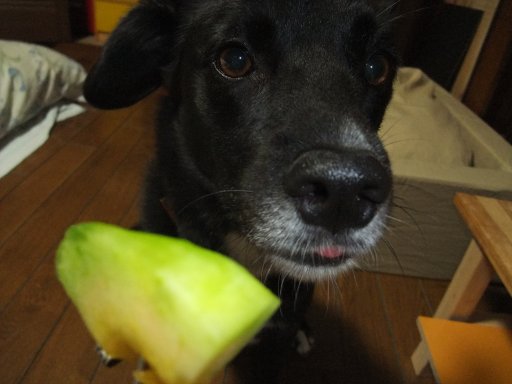 ファイル 547-3.jpg