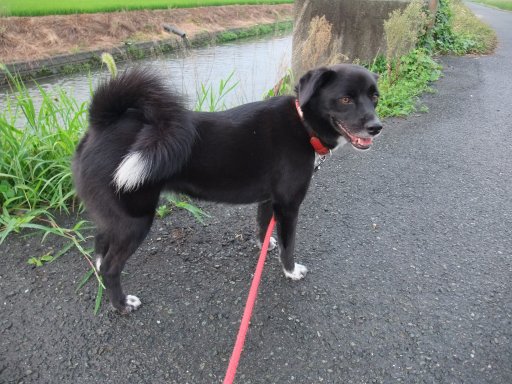 ファイル 551-3.jpg