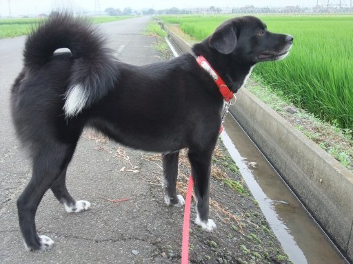 ファイル 552-2.jpg