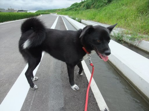 ファイル 565-2.jpg