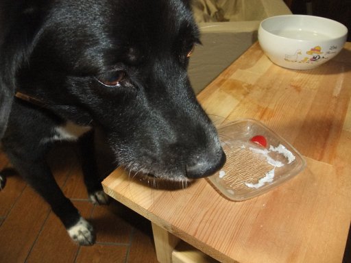 ファイル 571-3.jpg