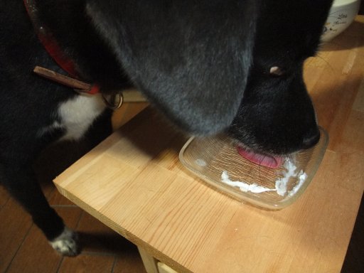 ファイル 571-4.jpg