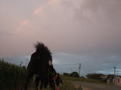 ファイル 576-2.jpg