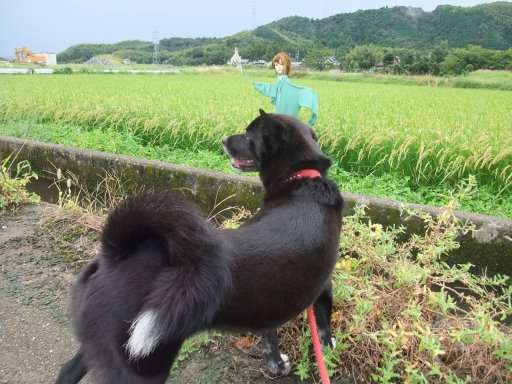 ファイル 578-3.jpg