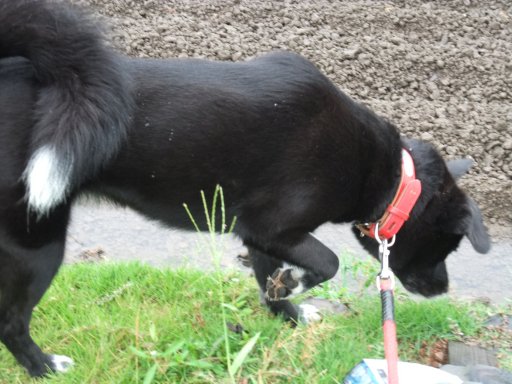 ファイル 579-3.jpg