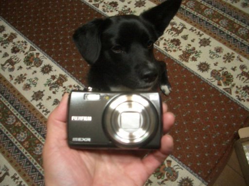 ファイル 58-2.jpg