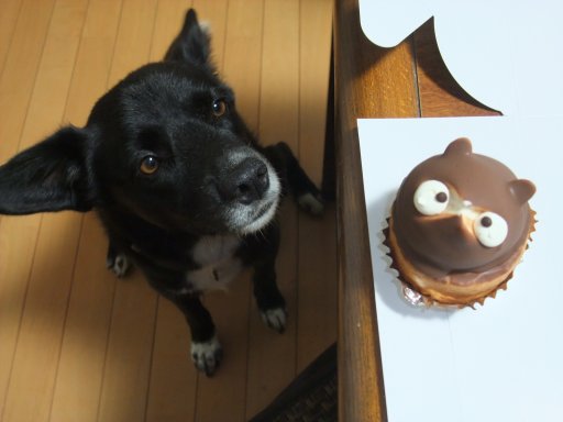 ファイル 580-3.jpg