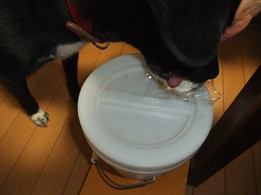 ファイル 581-2.jpg