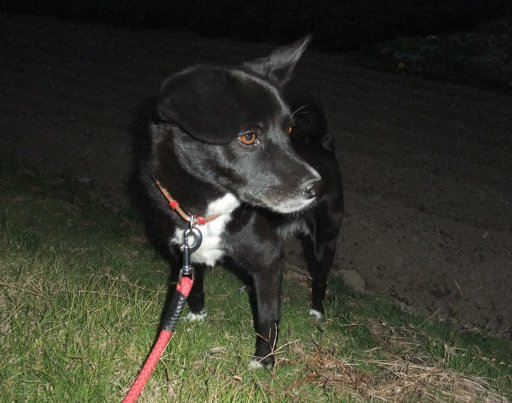 イヴ姫  in the dark