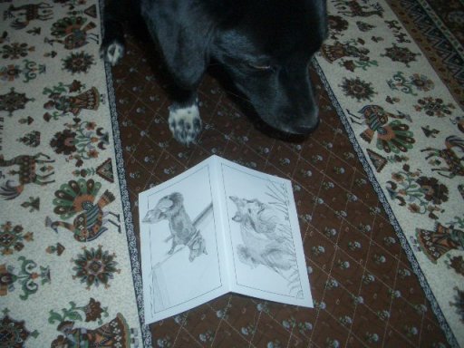 エっちゃん、イヴ姫