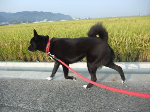 ファイル 600-2.jpg