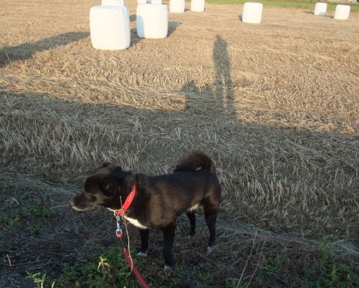 ファイル 601-2.jpg