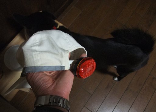 ヘッドなのにテールライト？！