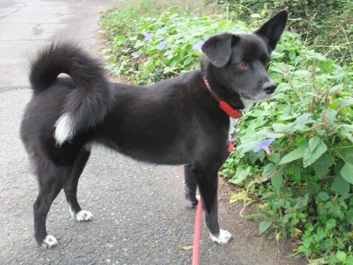 曇った日は撮影日和