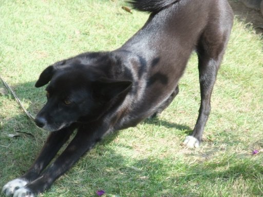 ファイル 606-3.jpg