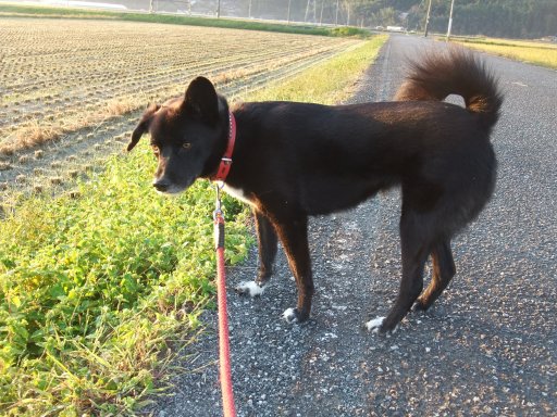 ファイル 608-2.jpg