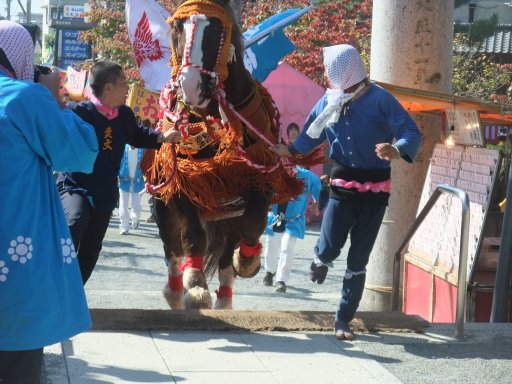 ファイル 608-3.jpg