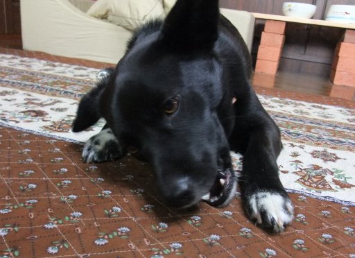 ファイル 62-2.jpg