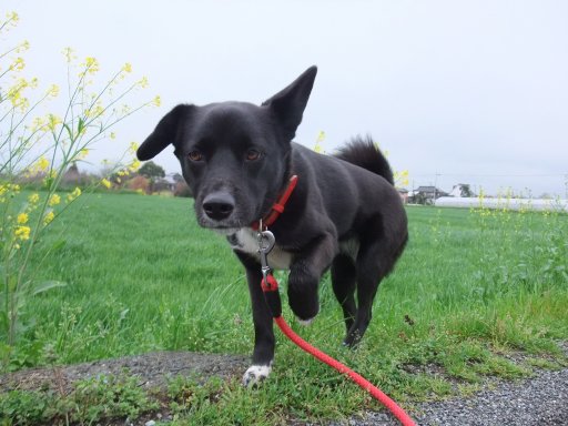 ファイル 62-3.jpg