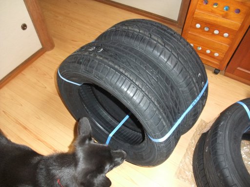 ファイル 623-3.jpg