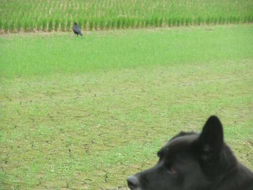 ファイル 624-3.jpg