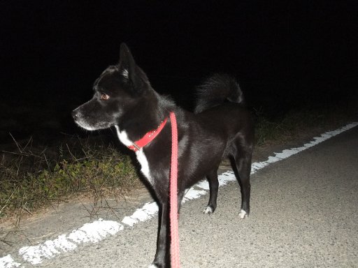 ファイル 628-2.jpg