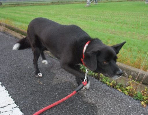 ファイル 630-2.jpg