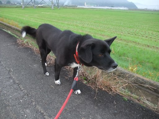 ファイル 630-4.jpg