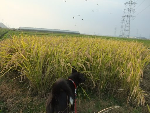 ファイル 631-4.jpg