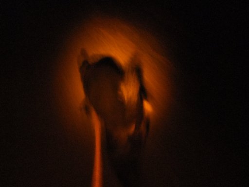 スポットライト