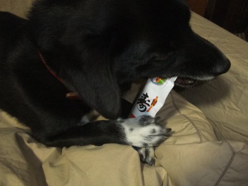 ファイル 633-2.jpg