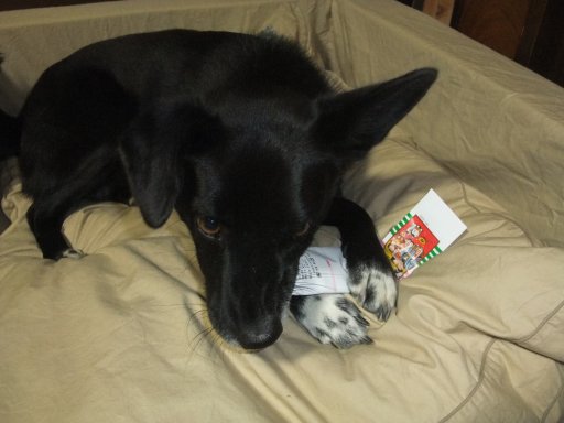 ファイル 633-3.jpg