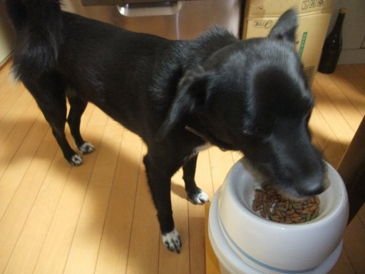 ファイル 635-2.jpg