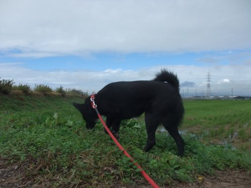 ファイル 637-2.jpg