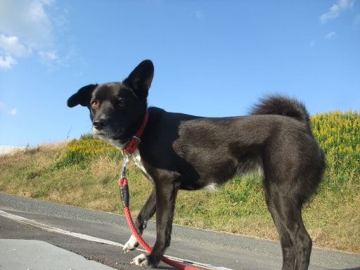 ファイル 638-2.jpg