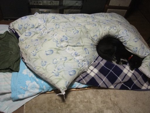 ファイル 655-2.jpg