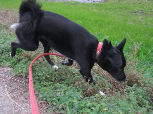 シャッター速度優先のはずが