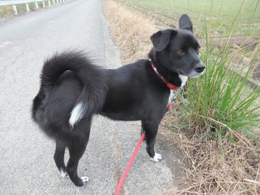 ファイル 656-2.jpg