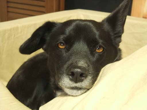 ファイル 656-3.jpg